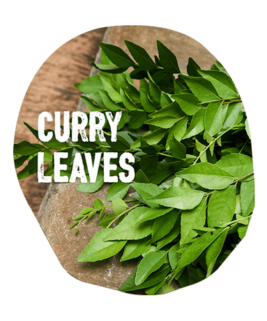 Ingredients: curry_leaves