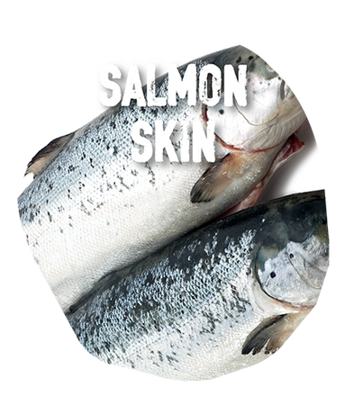 Ingredients: salmon